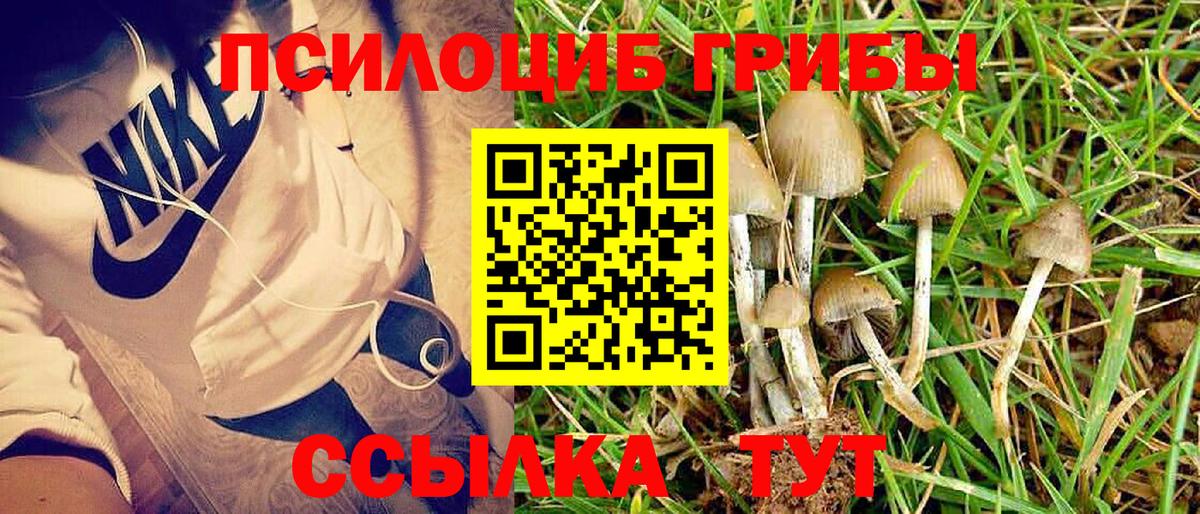 Галлюциногенные грибы GOLDEN TEACHER  Вход с VPN  Нижневартовск  Галлюциногенные грибы мухоморы 