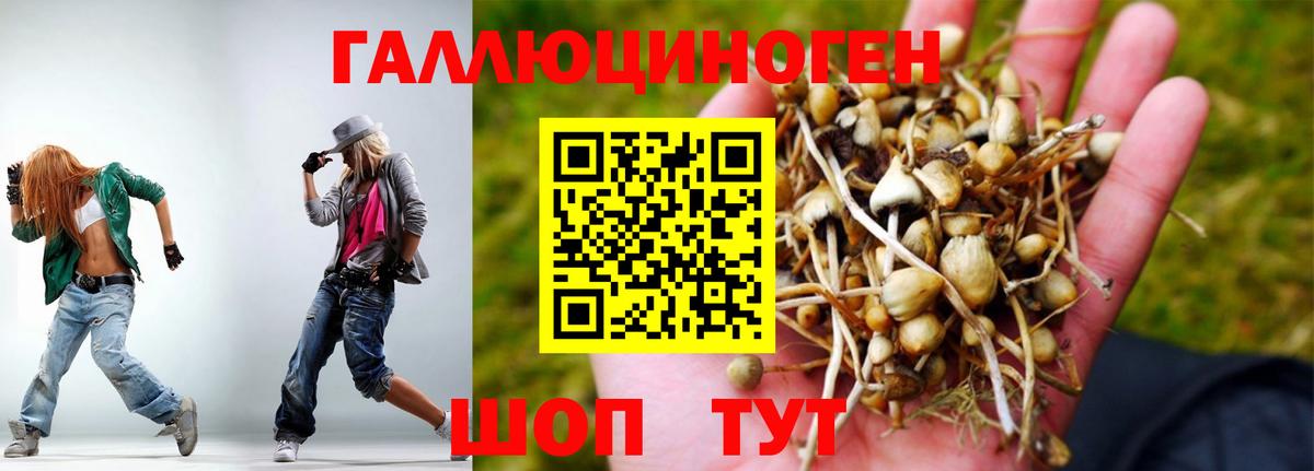 Галлюциногенные грибы Magic Shrooms Нижневартовск